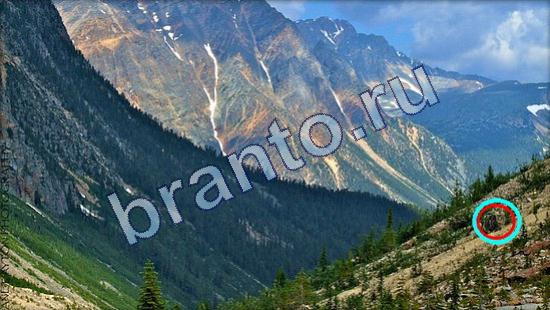 ответы на игру Где же кот в скриншотах Уровень 1952