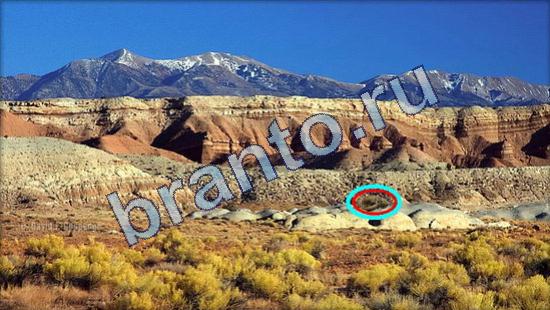 решения на игру Где же кот Уровень 1955