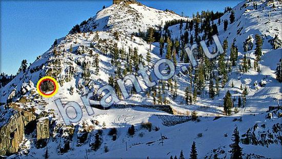 ответы на игру Где же кот Уровень 1956