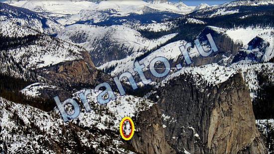 помощь на игру Где же кот Уровень 1958