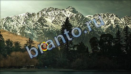 Где же кот ответы в одноклассниках Уровень 1959