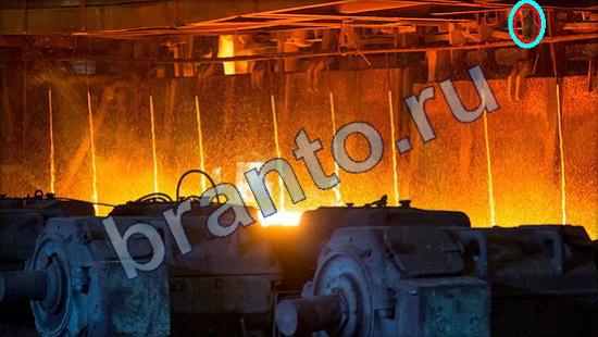 Где же кот? подсказки Уровень 1969