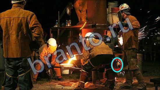 игра Где же кот помощь Уровень 1979