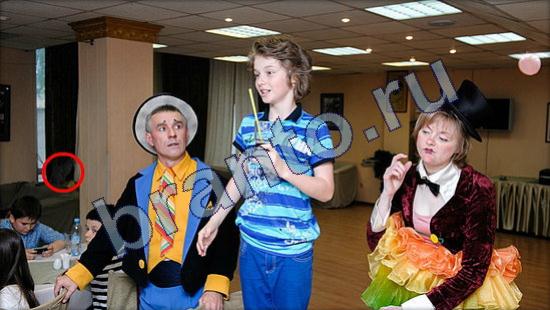 решения на игру Где же кот Уровень 1995