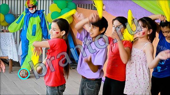 Где же кот ответы в одноклассниках Уровень 1999