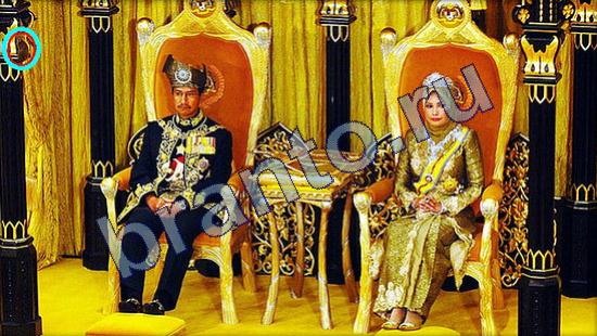 Подсказки на игру Где же кот Уровень 2082