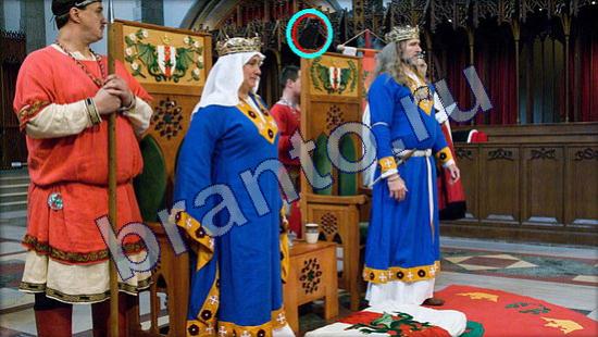 Помощь на игру Где же кот Уровень 2084