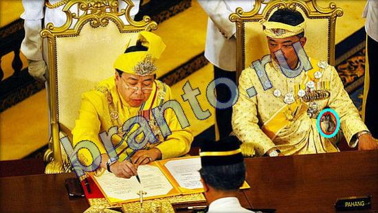 Где же кот? подсказки Уровень 2089