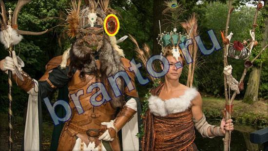 Игра Где же кот ответы Уровень 2097