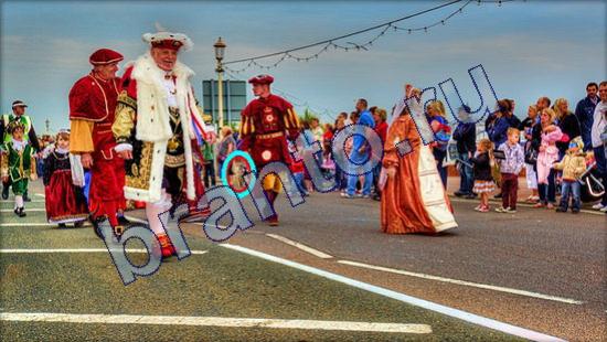 Игра Где же кот подсказки Уровень 2098