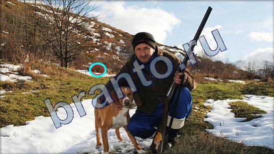 Где же кот прохождение игры Уровень 2102