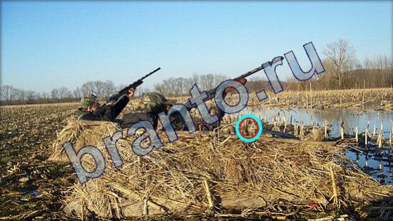 Прохождение игры Где же кот Уровень 2104