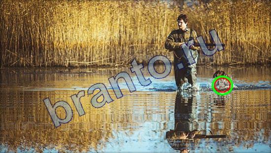 ответы Где же кот Уровень 2105