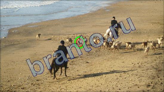 ответы Где же кот? в одноклассниках Уровень 2106