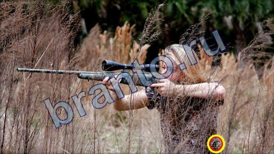 Где же кот помощь в картинках Уровень 2111