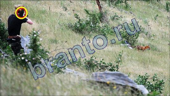 ответы на игру Где же кот в скриншотах Уровень 2112