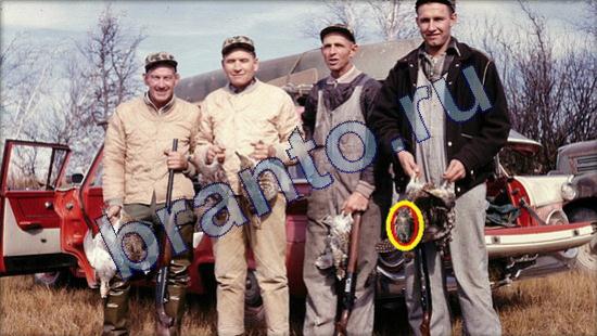 Где же кот ответы на новые задания Уровень 2113