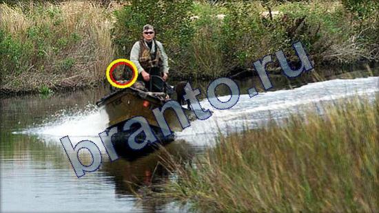 ответы на игру Где же кот Уровень 2116