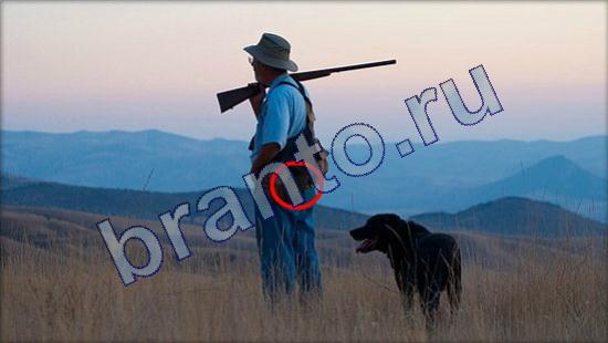 ответы в картинках на игру Где же кот Уровень 2117