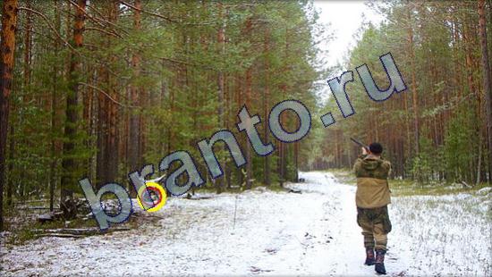 помощь на игру Где же кот Уровень 2118