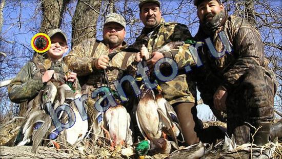 Где же кот игра ответы Уровень 2120