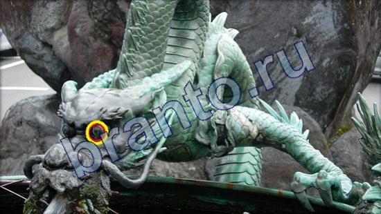 Где же кот? подсказки Уровень 2129