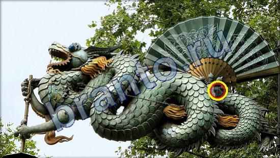 Где же кот? помощь Уровень 2130