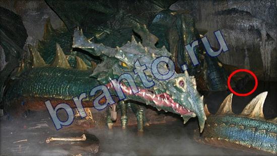 Где же кот? решения Уровень 2132