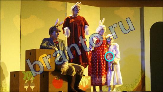 решения для игры Где же кот Уровень 2148