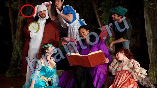 ответы на игру Где же кот Уровень 2154