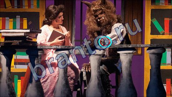 решения на игру Где же кот Уровень 2155