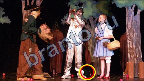 ответы в картинках на игру Где же кот Уровень 2157