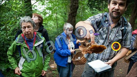 ответы к игре Где же кот Уровень 2165