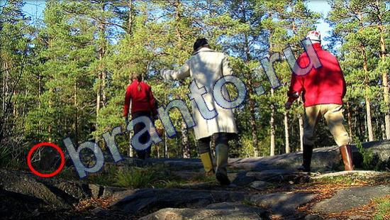 Где же кот игра ответы Уровень 2173