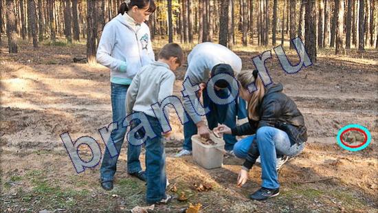 Где же кот игра помощь Уровень 2175