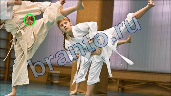 Где же кот прохождение игры Уровень 2182