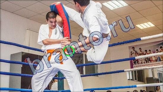 ответы на игру Где же кот в одноклассниках Уровень 2183