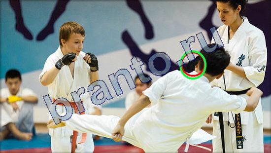 Прохождение игры Где же кот Уровень 2184