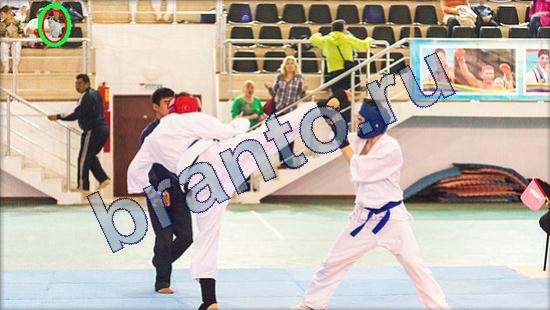 ответы Где же кот Уровень 2185