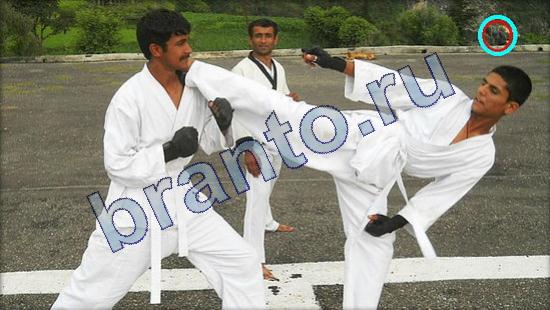 ответы для игры Где же кот Уровень 2187