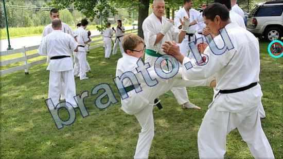 решения для игры Где же кот Уровень 2188