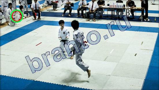 Где же кот игра ответы Уровень 2189