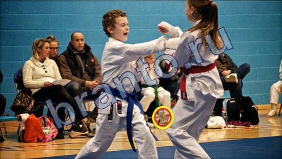 Где же кот помощь в картинках Уровень 2191