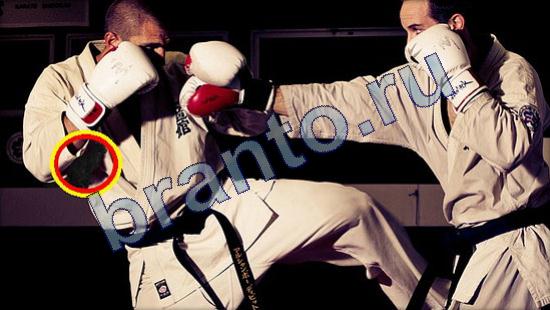 ответы на игру Где же кот в скриншотах Уровень 2192