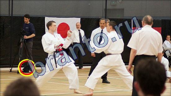 Где же кот ответы на новые задания Уровень 2193