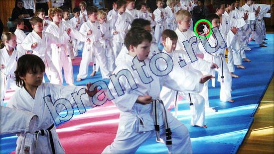 ответы на игру Где же кот Уровень 2194