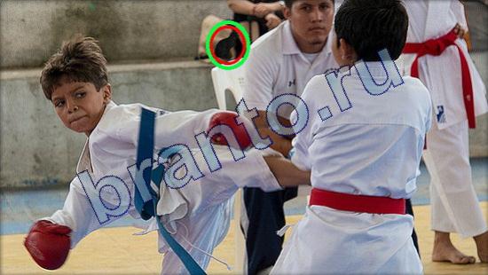 решения на игру Где же кот Уровень 2195