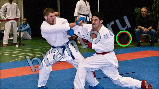 ответы на игру Где же кот Уровень 2196