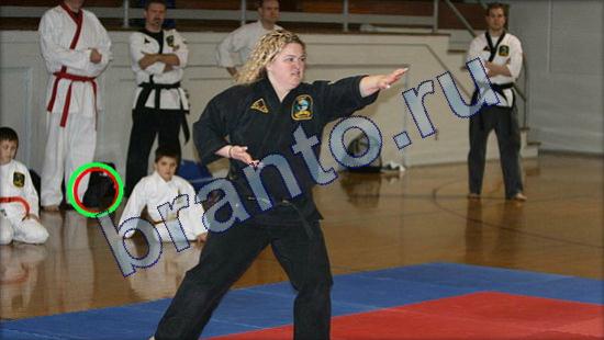 ответы в картинках на игру Где же кот Уровень 2197