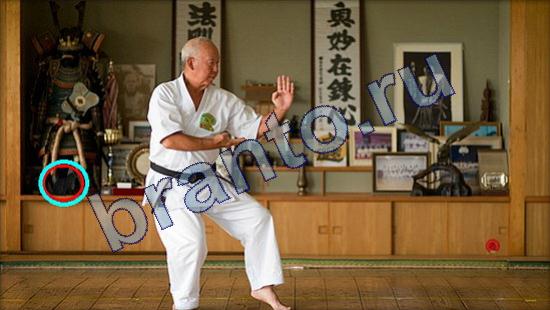 помощь на игру Где же кот Уровень 2198